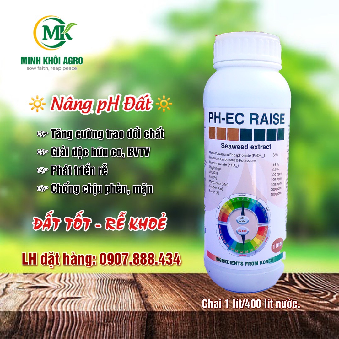 Combo Phục hồi sầu riêng sau thu hoạch